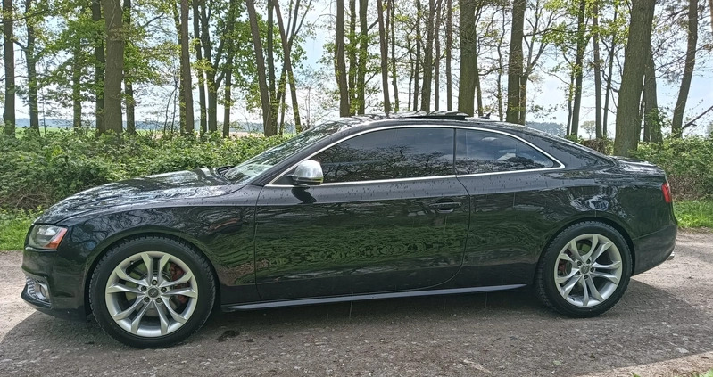 Audi S5 cena 56700 przebieg: 242602, rok produkcji 2009 z Susz małe 254